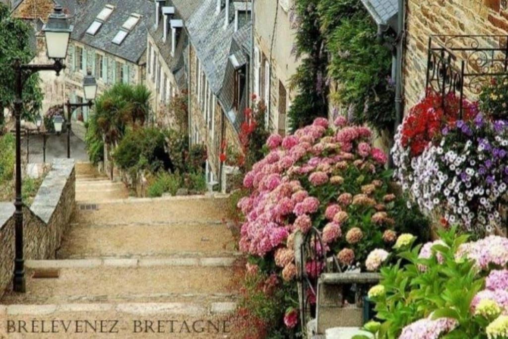 Maison Du Martin Pecheur A Lannion Eksteriør billede